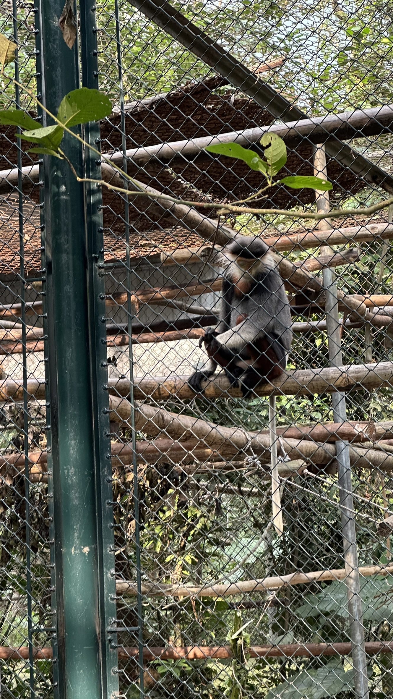 Cuc Phuong National Park